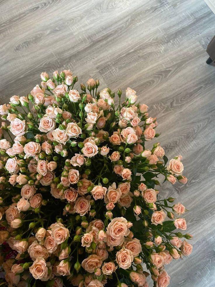 Secret Garden's Fragrant Harmony